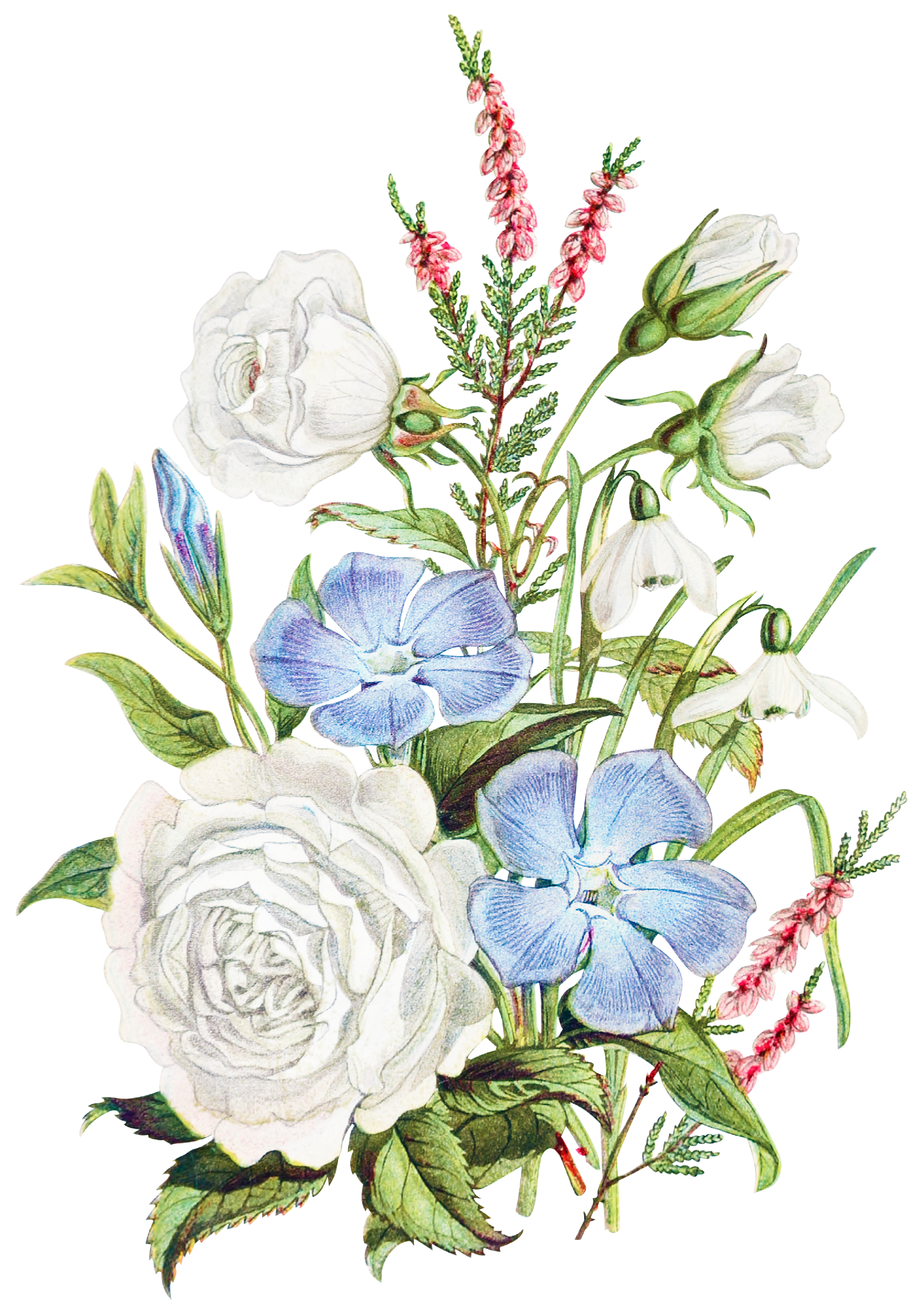 vintage image of a flower bouquet